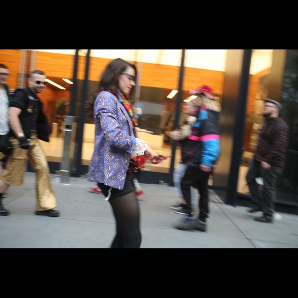 Meet your Posher, Jagger - Picture 6 of 8